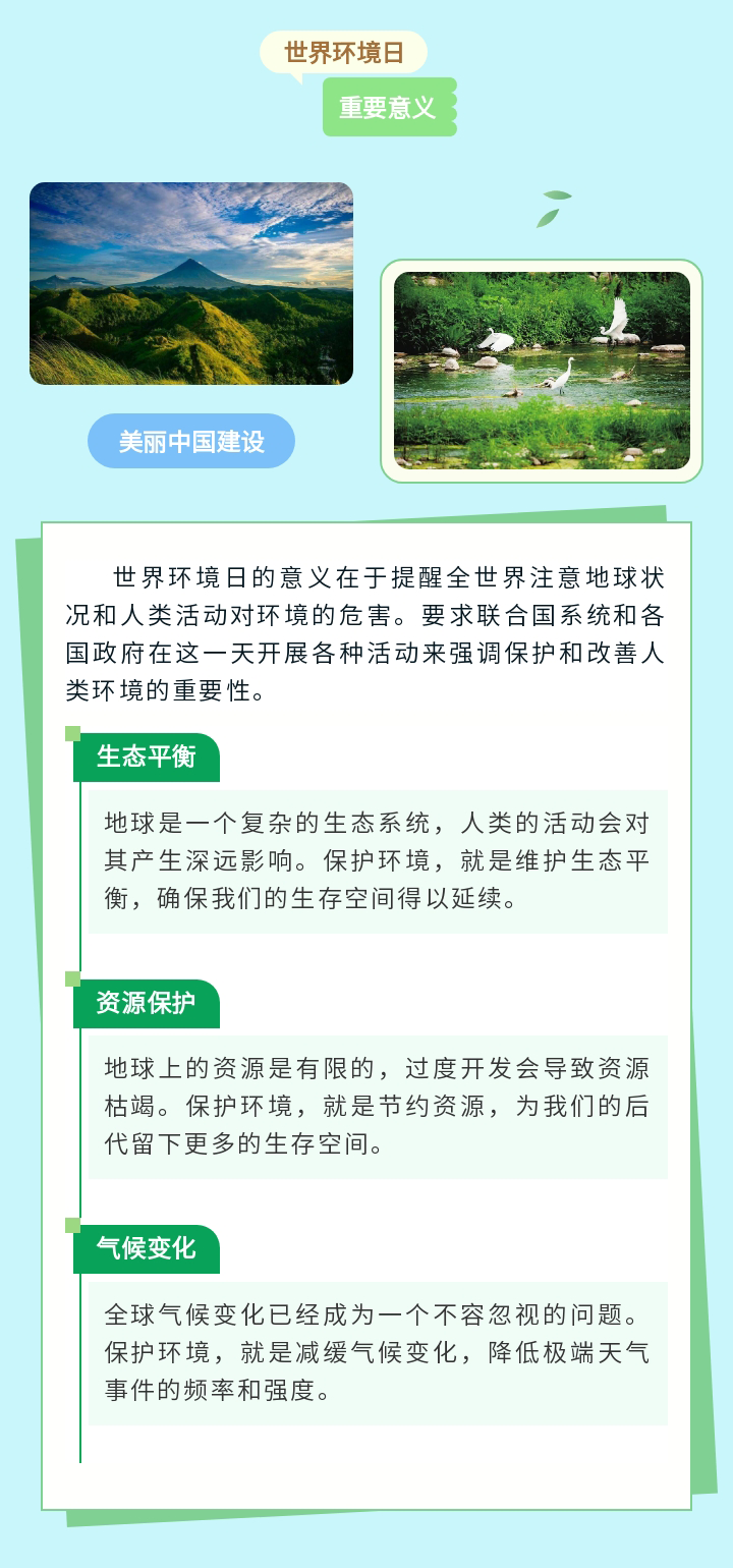 135editor_06050918_665fbce7f0fca20240605091831_03.png
