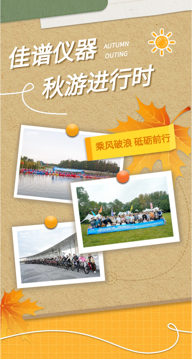 135editor_12181428_69439efb029c420251218142811_01.png